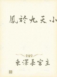凤于九天小说