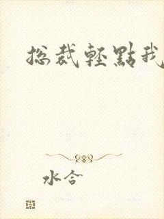 总裁轻点我怕疼封面