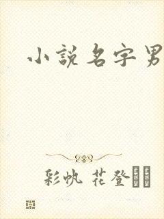 小说名字男生封面