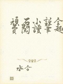 顽石小说全文免费阅读笔趣阁封面