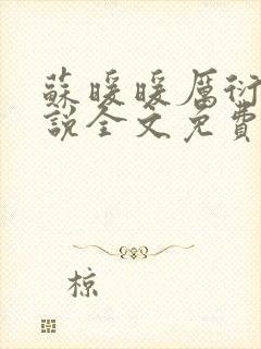 苏暖暖厉衍琛小说全文免费阅读封面