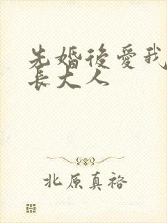 先婚后爱我的市长大人