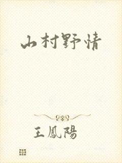 山村野情封面