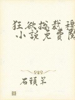 狂欲总裁穆非雪 小说免费阅读