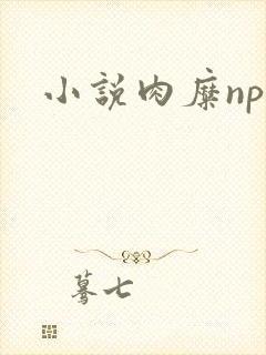 小说肉糜np