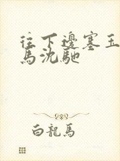 往下边塞玉器骑马沈驰封面