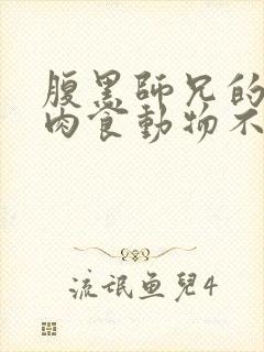 腹黑师兄的日常肉食动物不食草