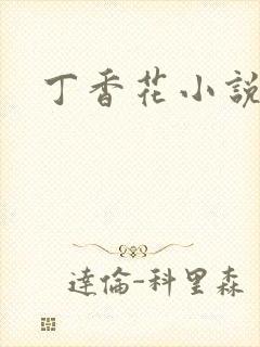 丁香花小说封面