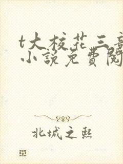 t大校花三部曲小说免费阅读全文封面