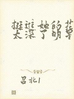 挺进她的花苞啊太深了明星小说封面