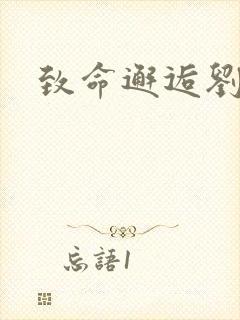 致命邂逅刘小寐封面