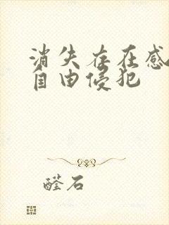 消失存在感消失自由侵犯