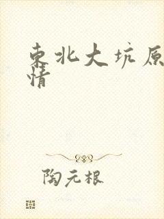 东北大坑原始激情封面