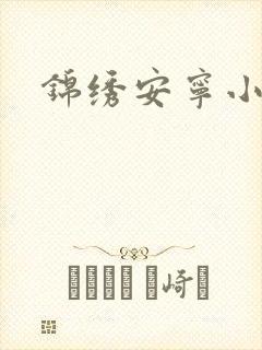 锦绣安宁小说