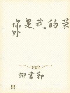 你是我的荣耀番外