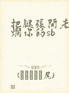 把腿张开老子臊烂你的sb封面