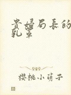 贵妇局长的蕾丝乳罩