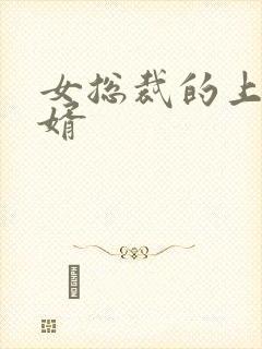 女总裁的上门女婿封面