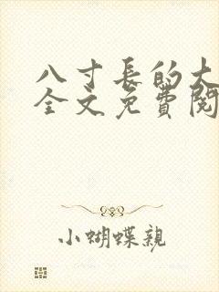八寸长的大宝贝全文免费阅读封面