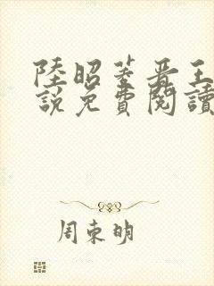 陆昭菱晋王的小说免费阅读