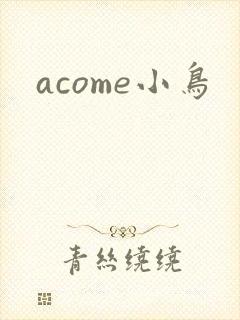 acome小鸟