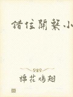 错位关系小说封面