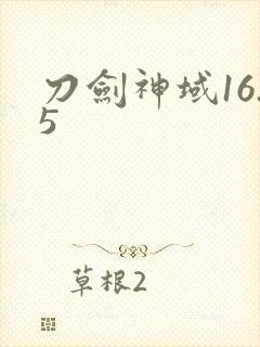 刀剑神域16.5