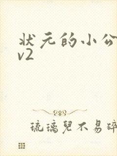 状元的小公主1v2封面