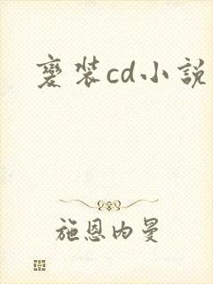 变装cd小说封面