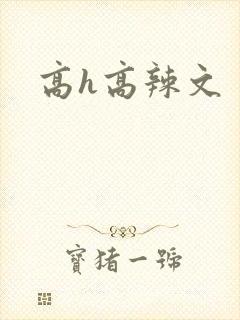 高h高辣文封面