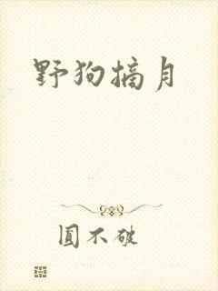 野狗摘月
