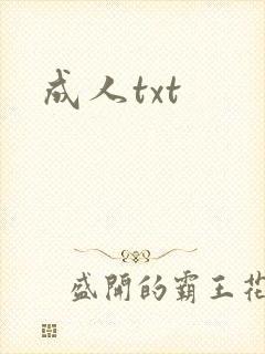 成人txt