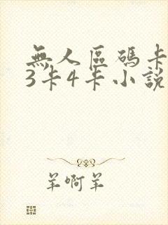 无人区码卡二卡3卡4卡小说封面