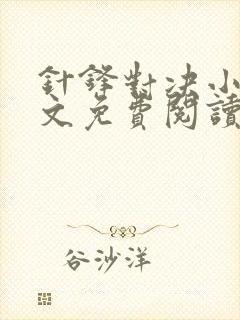 针锋对决小说全文免费阅读完整版