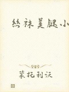 丝袜美腿小说封面