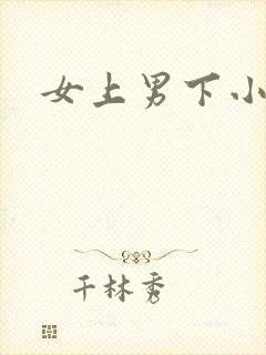 女上男下小说