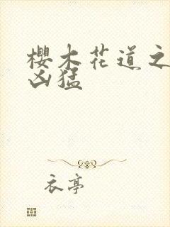 樱木花道之重生凶猛