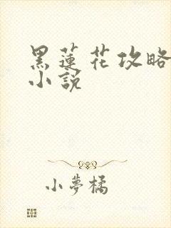 黑莲花攻略手册小说