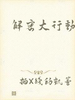 解密大行动