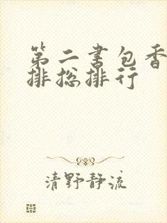 第二书包香辣肉排总排行封面