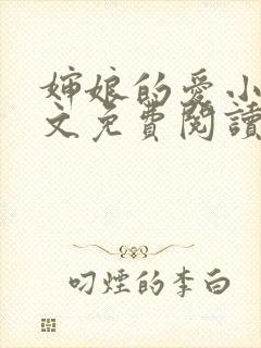 婶娘的爱小说全文免费阅读封面