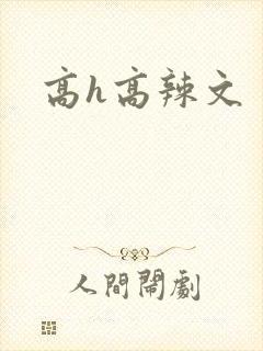 高h高辣文