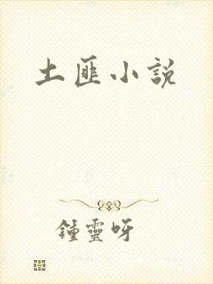 土匪小说