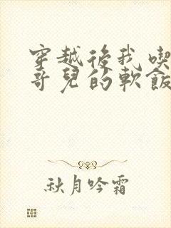 穿越后我吃到了哥儿的软饭炉山灰