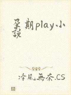 孕期play小说封面