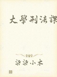 大学刑法课