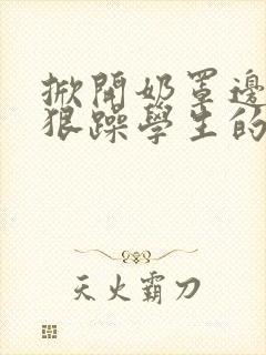 掀开奶罩边躁狠狠躁学生的小文字