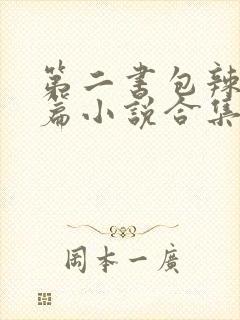 第二书包辣网短篇小说合集