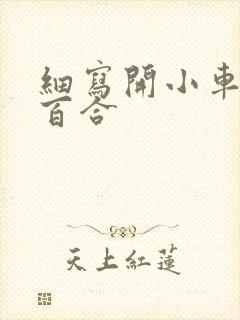 细写开小车车的百合