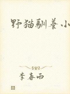 野猫驯养小说